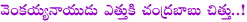 chandrababu naidu,venkaiah naidu,chandrababu in venkaiah naidu trap,bjp politics,telugu desam,bjp ruling the ap state,congress,tdp leader chandrababu,venkaiah naidu magics